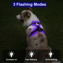 Taglory Light Up Dog Harness, Rechargeable No Pull Dog Vest with 3 Lightning Modes, Reflective Dog Harness with 2 Leash Clips & 4 Adjustable Slide Strips for Medium Dogs, Black-Purple, M