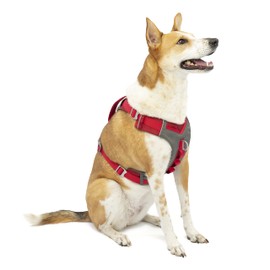 Kurgo Journey Air Dog Harness, Vest Harnesses for Dogs, Pet Hiking Harness for Running & Walking, Reflective, Padded, Includes Control Handle, No Pull Front Clip (Red, X-Large)