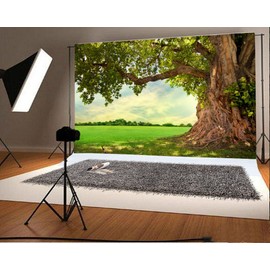 Yeele 10x6.5ft Spring Backdrop for Photography Spring Park Meadow Old Tree Background Outdoor Picnic Nature Scenery Kids Adult Photo Booth Shoot Vinyl Studio Props