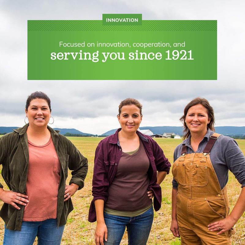 Land O Lakes Mini Moo’s Half & Half Creamer Singles,