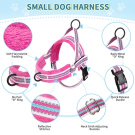 Lukovee No Pull Dog Harness and Leash Set, Soft Padded Small Dog Harness, Neck & Chest Adjustable Reflective Vest Puppy Harness with 4ft Lightweight Anti-Twist Dog Leash for Small Dogs (XXS, Fuschia)
