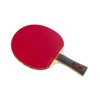 Butterfly TAMASU TB5 Alpha + Sriver-EL 16970 Table Tennis Racket