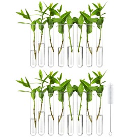 Klmnop 16 Pcs Clear Test Tubes for Plant, 20 ml Acrylic Plant Propagation Tube with Brush, Propagation Test Tubes for Hydroponic Plants, Flowers, Home Office Decoration(Clear)