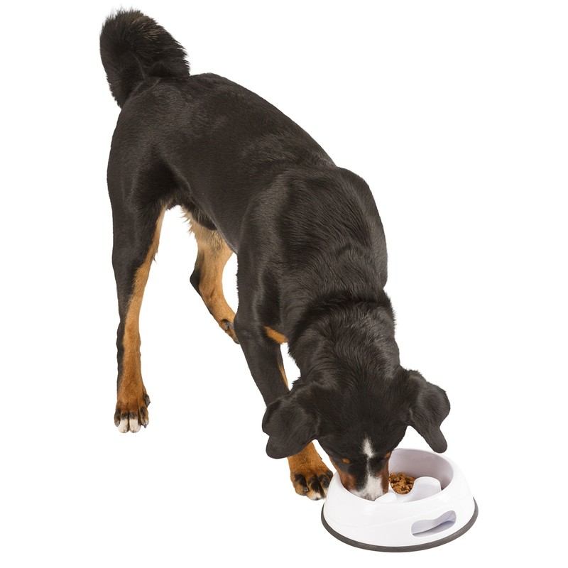 Kerbl Anti-Dribble Plastic Bowl, 1000 ml, White