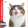Cat Car Window Decals Funny 3D Weatherproof Decals (Cat Lick)