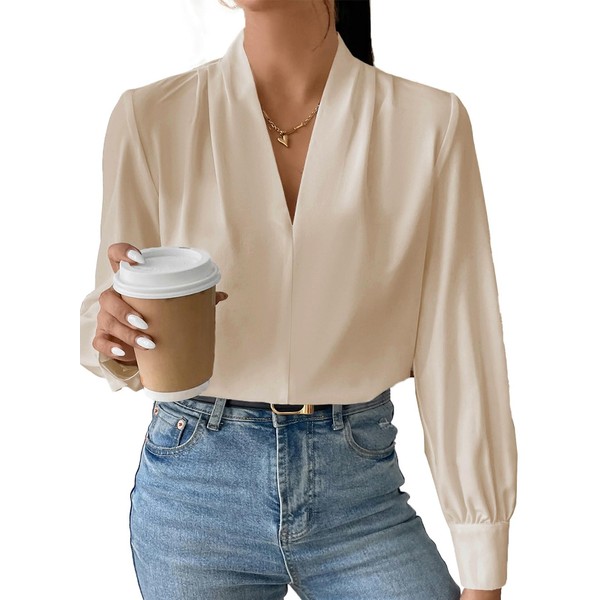 EVALESS Women Blouse Work Interview Long Sleeve Blouse Dressy Casual