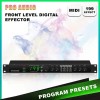 PRO AUDIO FRONT LEVEL Digital Effector Processor MIDI 199 EFFECT