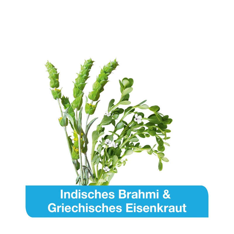 MemoLoges Kapseln, 120 St