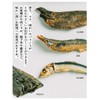 Today's Dashi Dashi Pack, Additive-Free, Made in Japan, Kyoto Dashi