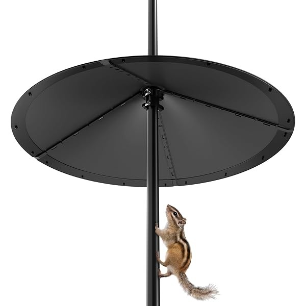 24 Inch Large Squirrel Baffle for Bird Feeder Pole, Squirrel
