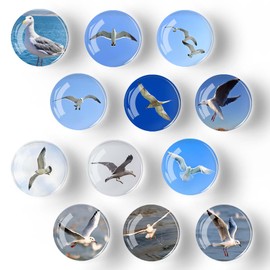 XoeLLe Pack of 12 Seagull Magnets Fridge Magnets, Fridge Magnets, Whiteboard Magnets, Funny Magnets, Magnets for Glass Magnetic Board, Fridge, Whiteboard, Metal Plates, Magnetic Board (30 mm)