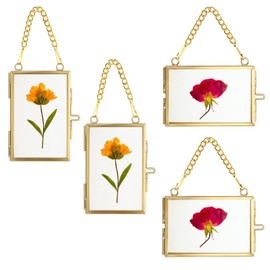 SUMTree 4 x Glass and Metal Picture Frames, Hanging Glass Photo Frame, Plant Sample Clip, for Pressed Flowers, Photos, Glass Frame Only (Golden, 5 x 7.6 cm, Rectangle, 2 x Horizontal, 2 x Vertical)