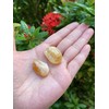 WHOLESALE Citrine Tumbled Stones, Polished Citrine Gemstone, Citrine Healing Crystals