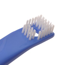 アイセン工業 aisen 楽洗い ダブル シューズブラシ ブルー LK072