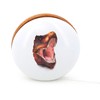 Vilac Yoyo T-Rex Museum - Funny Toy for Young or