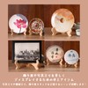 S.T.S.G Dish Stand, Wooden, Storage, Picture Frame, Decorative Plate, Japanese