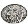 BELTINGER Belt Buckle German Short Hair 4.0 cm Buckle Interchangeable