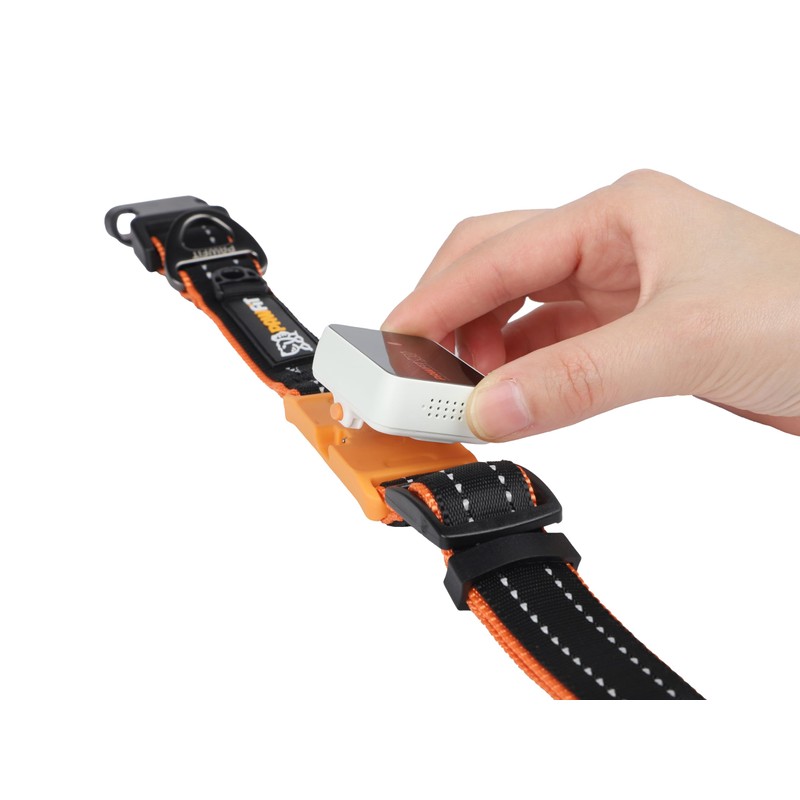 Pawfit 3 Series Collar, Nylon Dog Collar with Safety Buckle,