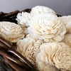 Eco Flower Sola Wood Flowers - One Dozen Wholesale