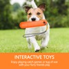 Dog Toy, Swimming Toy for Dogs Water Toy 22 cm