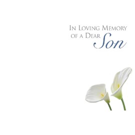 ShredAstic Small Florist Funeral Memorial Message cards 6 x 9 cm with weatherproof Cello bag (9. In Loving Memory of a Dear Son, 5 cards / 5 cello bags)