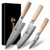 Jingseiho Professional Knife Set - VG-10 67-Layer Damascus Forged Steel,