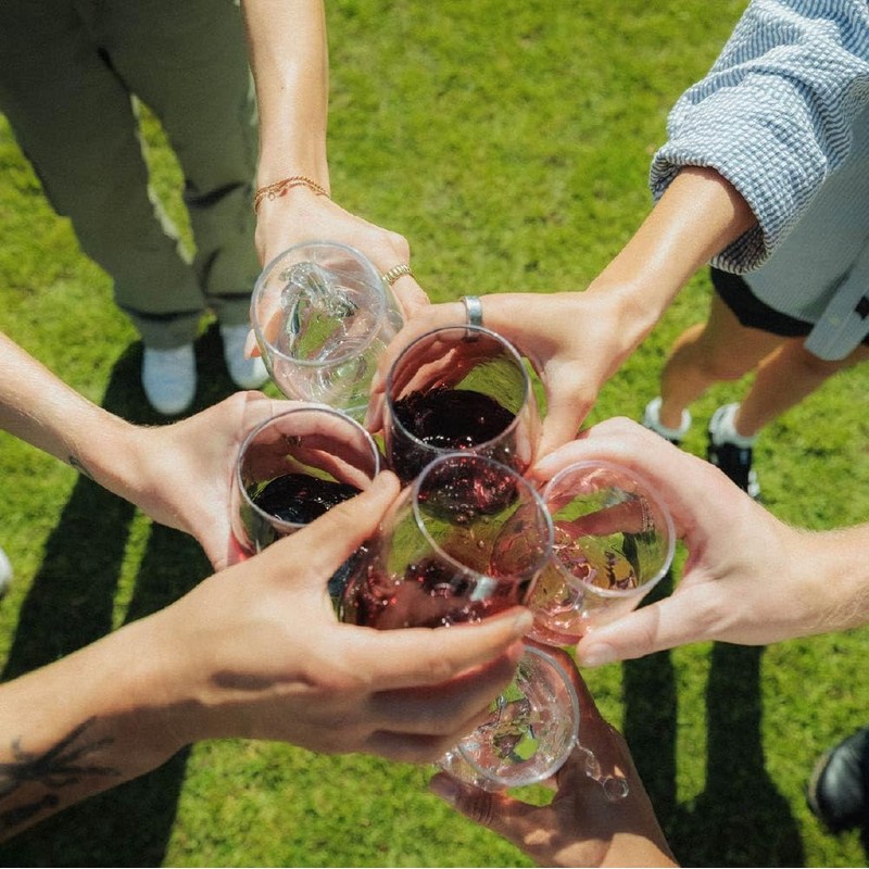 govino The original shatterproof wine glass – reusable, dishwasher safe,