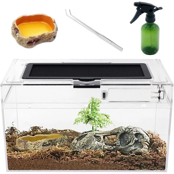 Mini Reptile Terrarium Set,12" X 7"X 6" Low Reptile Tank
