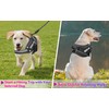 Service Dog Vest, DEWVIE Dog Harness and Leash Set with