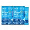 프로바이오틱스 유산균 락토바실러스 김치유산균 19종 Probiotics Lactic Acid Bacteria Lactobacillus