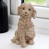Raised Paw Cockapoo Ornament 17cm Resin Textured Sitting Puppy Dog