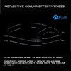 Max and Neo Nylon Martingale Collar - We Donate to