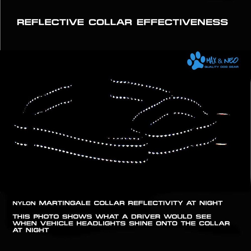 Max and Neo Nylon Martingale Collar - We Donate to