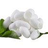ETC Cosmetic`s Silk Protein - 12 g - Cosmetic Active