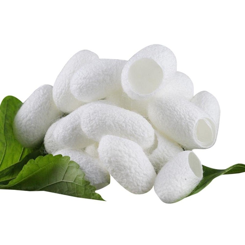 ETC Cosmetic`s Silk Protein - 12 g - Cosmetic Active
