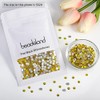 beadsland Flat Back Crystal Rhinestones Round Gems, Lemon Yellow (4.6-4.8mm)