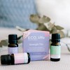 ECO. Modern Essentials Little Strength Essential Oil Trio, 3 x
