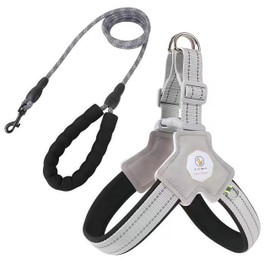 Escape-Proof Dog Harness for Small/Medium Breeds - Soft Padded Vest with Reflective Leash, Adjustable Y-Shape Design (22-33 lbs, Black)