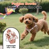 TEWIWAP Dog Harness with Leash Soft Lightweight Floral Puppy Harnesses
