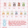 Baby Three Lily Rabbit Town Series 2 Plush Blind Box