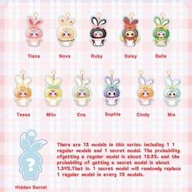 Baby Three Lily Rabbit Town Series 2 Plush Blind Box 1Pc (1 of 12 Possible Styles) Kawaii Cute Blind Box Figures, Random Design Action Figures Collectible Toys Home Decorations