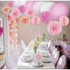 15 PCs Paper Flowers & Lanterns Party Decorations Pom Pom