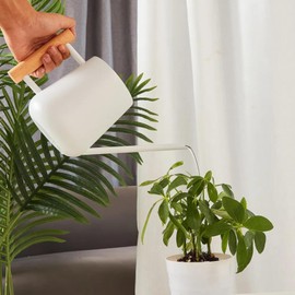 Indoor Watering Can with Long Spout, 35oz Capacity, Black Metal with Wood Handle (White-Z1)