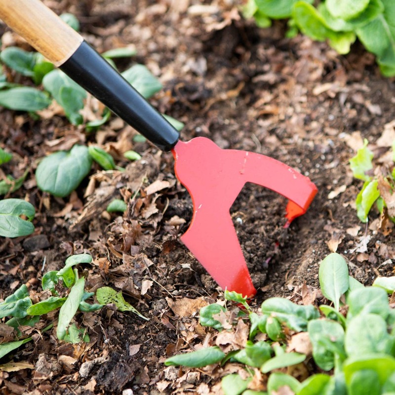 Lehman's Precision Garden Hoe, Amish Made Dutch, Push-Pull and Traditional