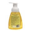 Nyassa Sicilian Tangerine Foaming Handwash 260ml Sulphate and Paraben Free