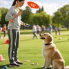 3Pack Set - Dog Clicker for Training, Retractable Target Stick,