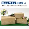 Earth Cardboard ID0416 Cardboard Design Cardboard Box, 80 Size, A4,