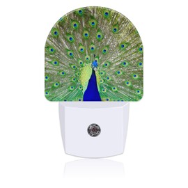 Uiaoiais Night Light Plug into Wall Magnificent Peacock Night Light with Dusk to Dawn Sensor Night Light for Kid Girls Boys Women Men Room Decor, Hallway, Kitchen, Bathroom, Nursery, Stairs