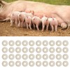 100PCS Pig Cattle Sheep Tail Cutting Castration Rubber Ring Castration