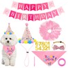 Dog Birthday Party Supplies Pink Dog Birthday Hat with Numbers